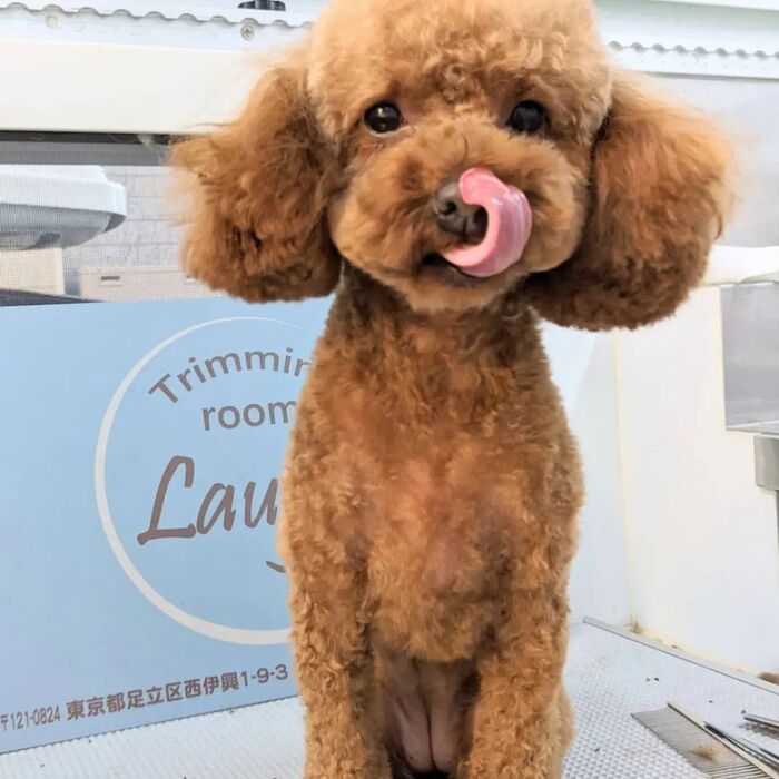 画像1424