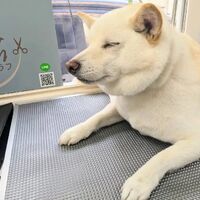 画像1599
