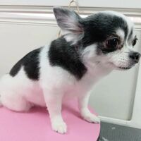 画像1626