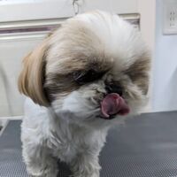画像1704