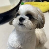 画像1708