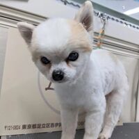 画像1729