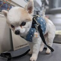 画像1730