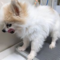 画像1733