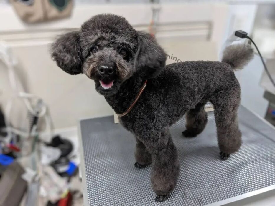 画像1749