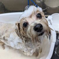 画像1812