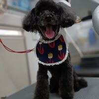 画像2018