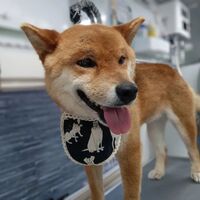 画像2206