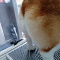 画像2213