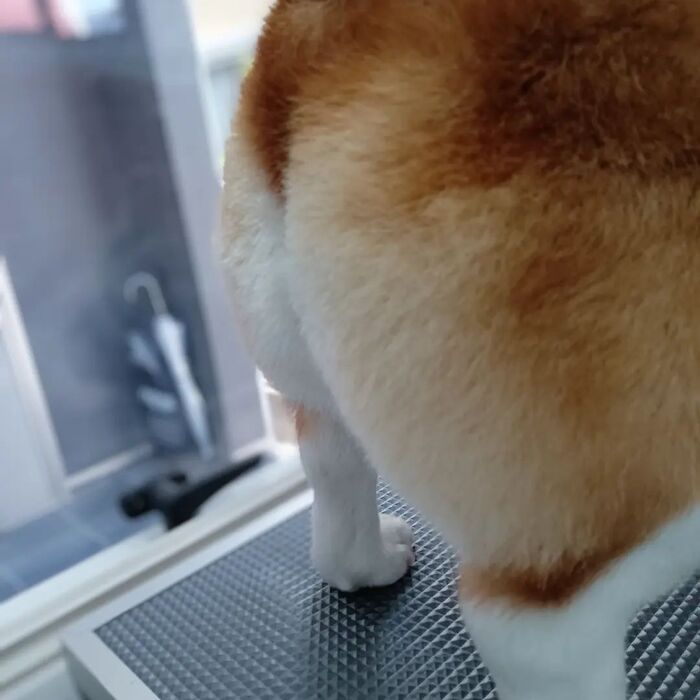 画像2213
