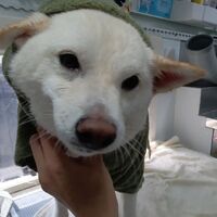 画像2236