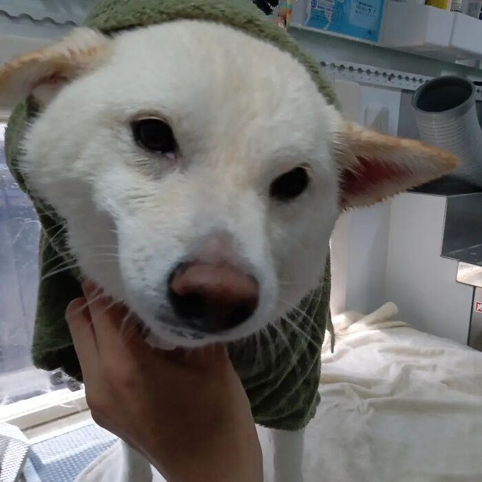 画像2236