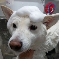 画像2237
