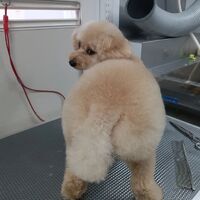 画像2273