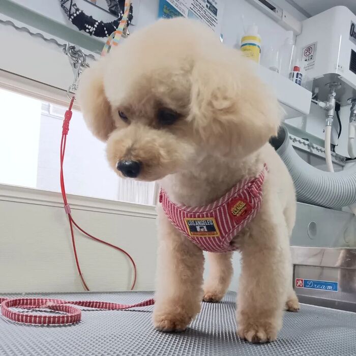 画像2276