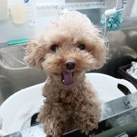画像2285