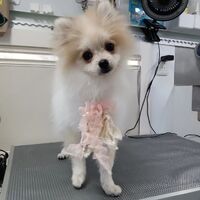 画像2323
