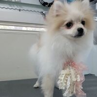 画像2324