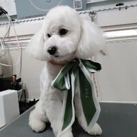 画像2430