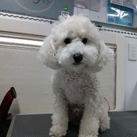 画像2434