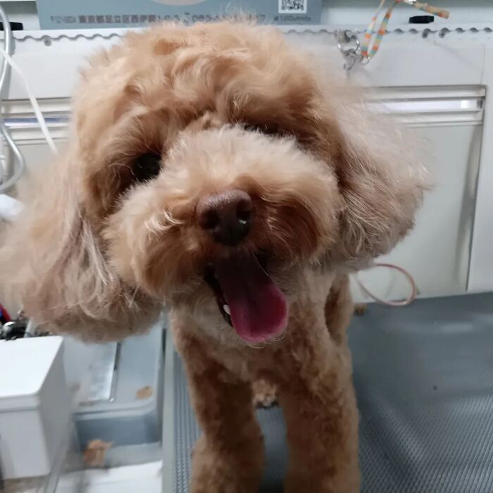 画像2501