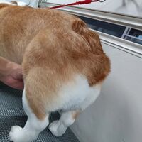 画像2681