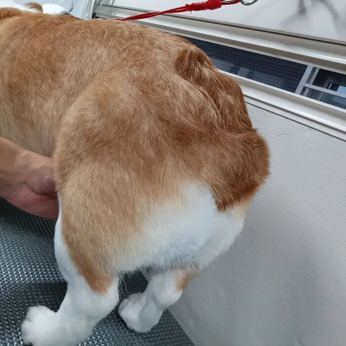 画像2681