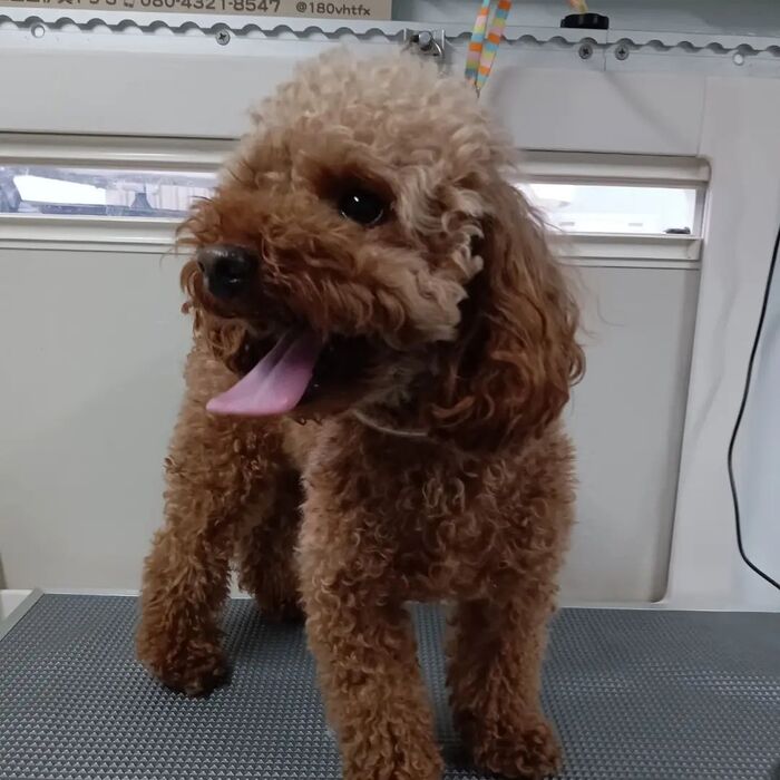 画像2853