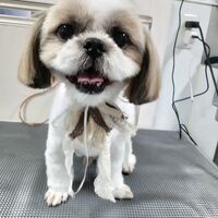 画像2915