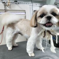 画像2916
