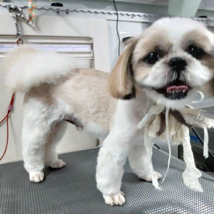 画像2916