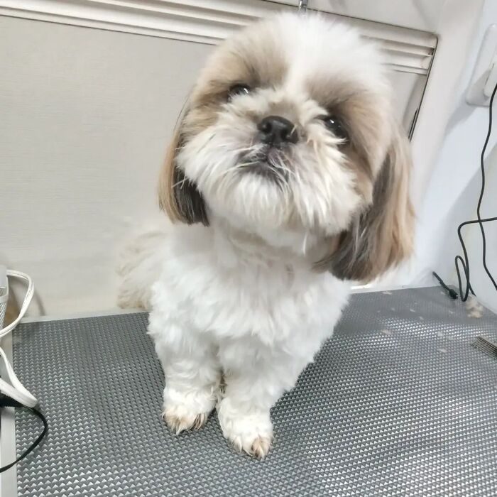画像2921