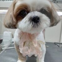 画像2958