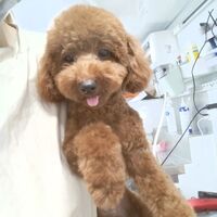 画像2989