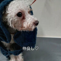 画像3013