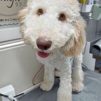 画像3047