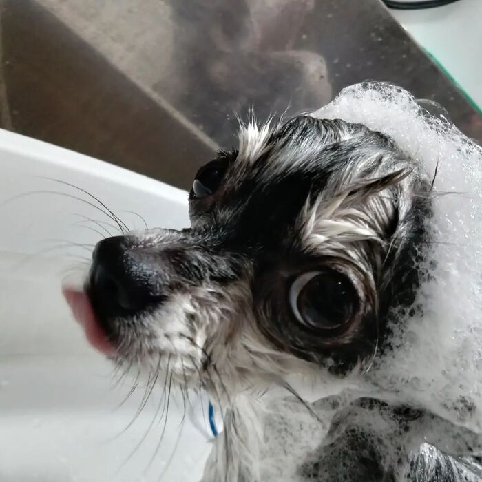 画像3103