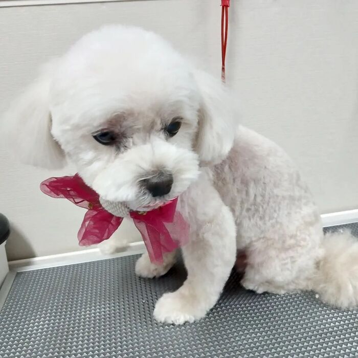 画像3139