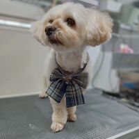 画像3223