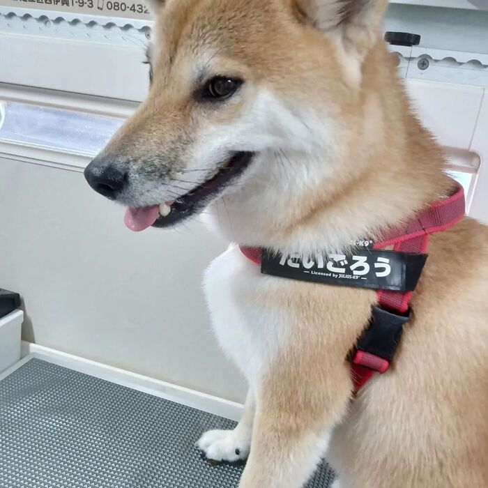 画像3232