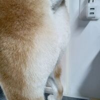 画像3234