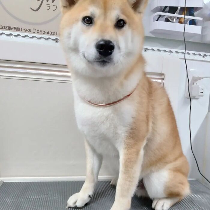 画像3237