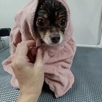 画像3273