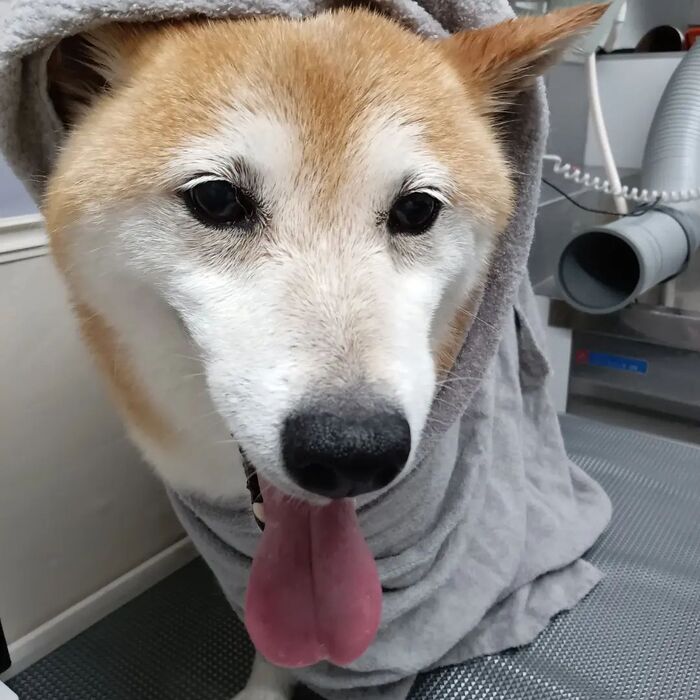 画像3323