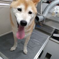 画像3325