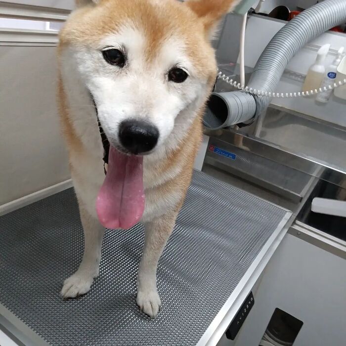 画像3325