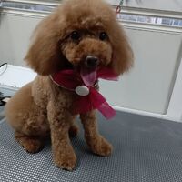 画像3432