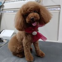 画像3434
