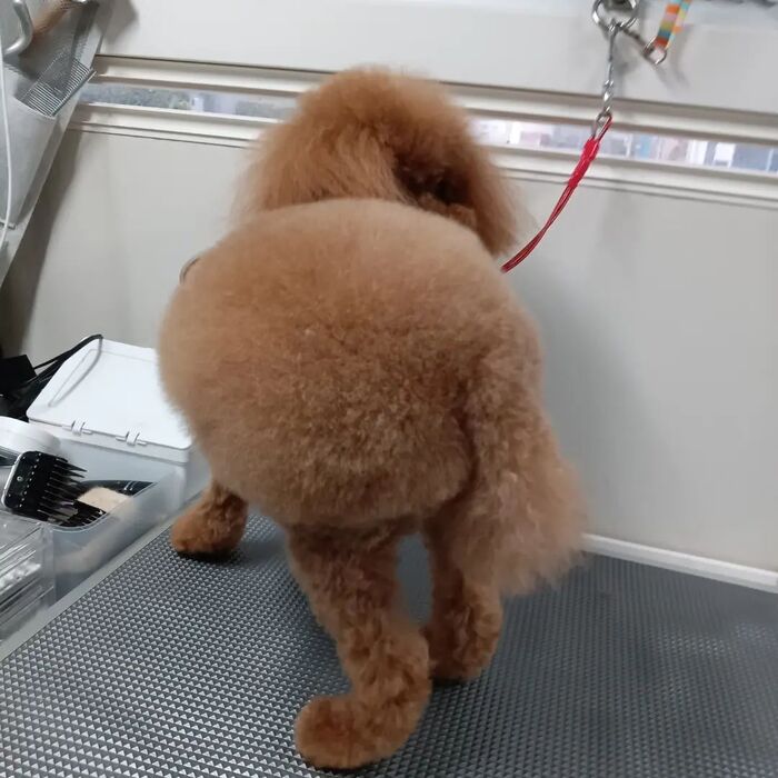 画像3435
