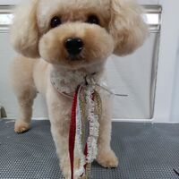 画像3469